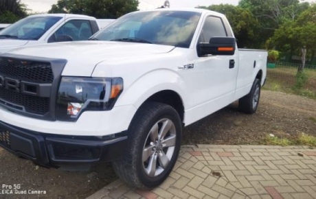 Ford F-150  '2013