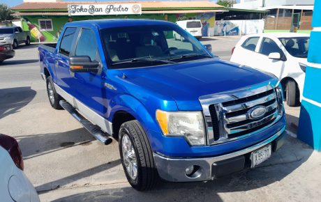 Ford F-150  '2009
