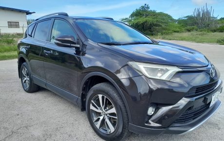 Toyota RAV4  '2018